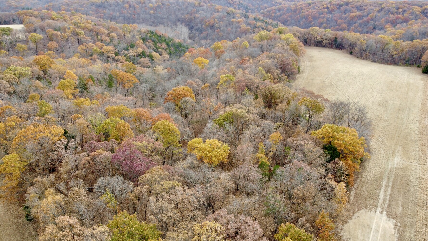 2321 Pitkin Ave, Brooklyn, NY, 11207