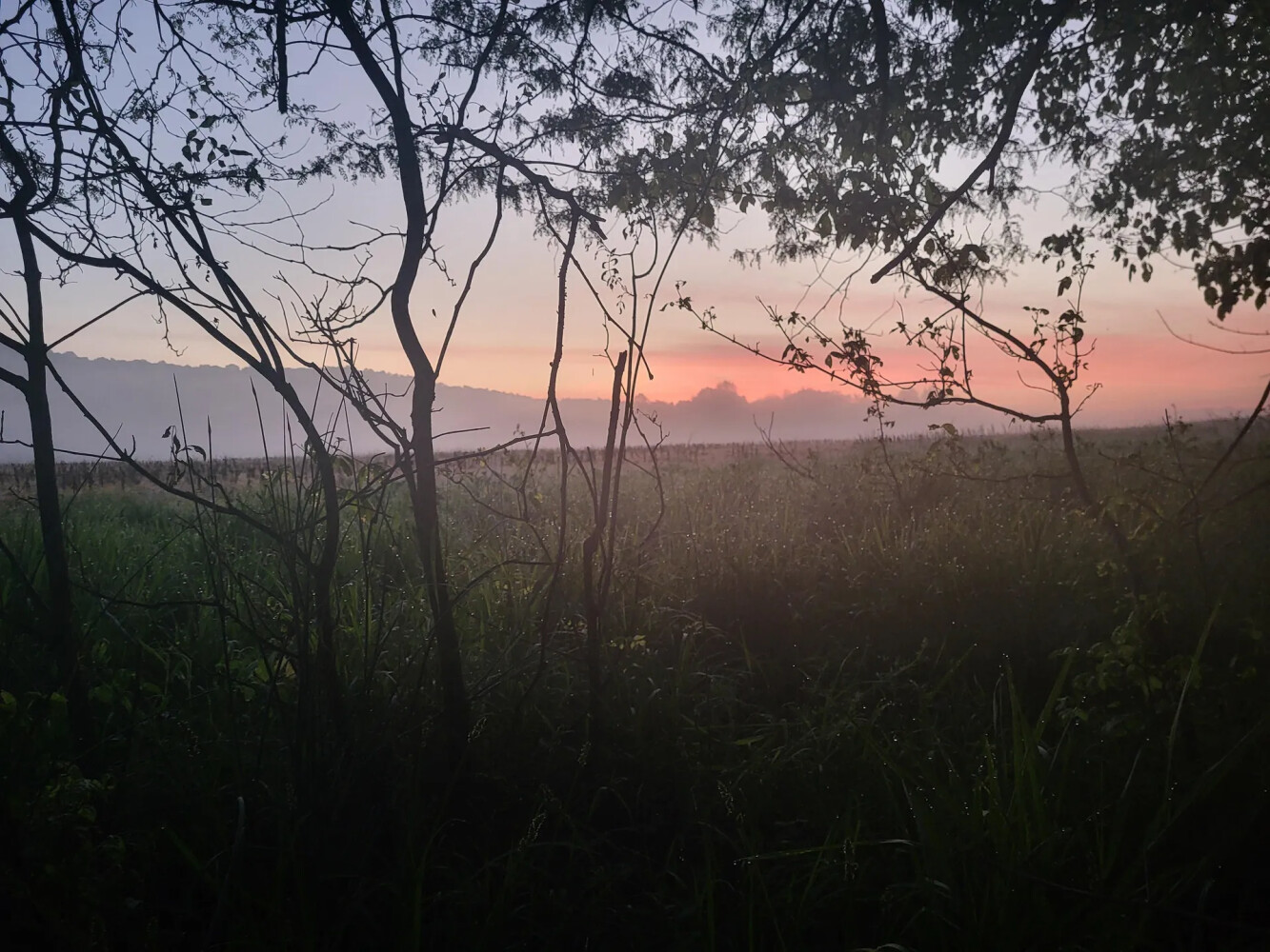 1345 Jenkins Road, Bowling Green, KY, 42101