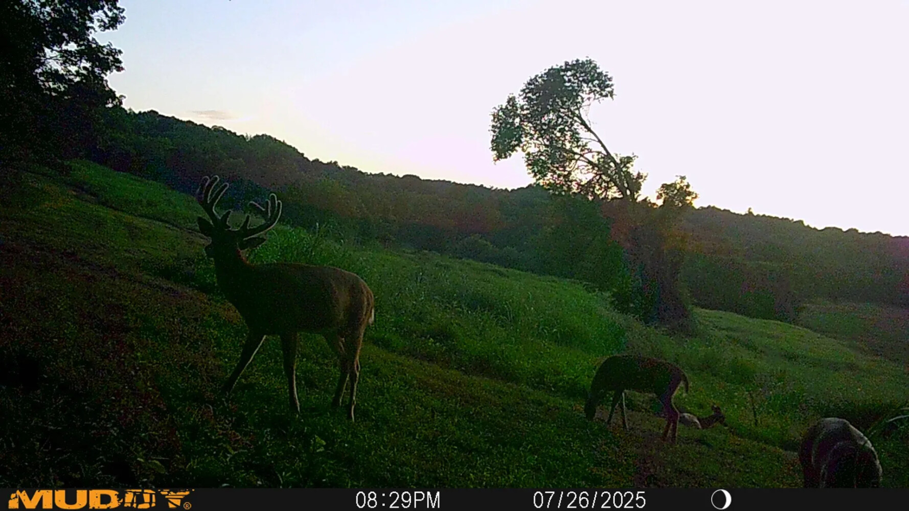 1345 Jenkins Road, Bowling Green, KY, 42101