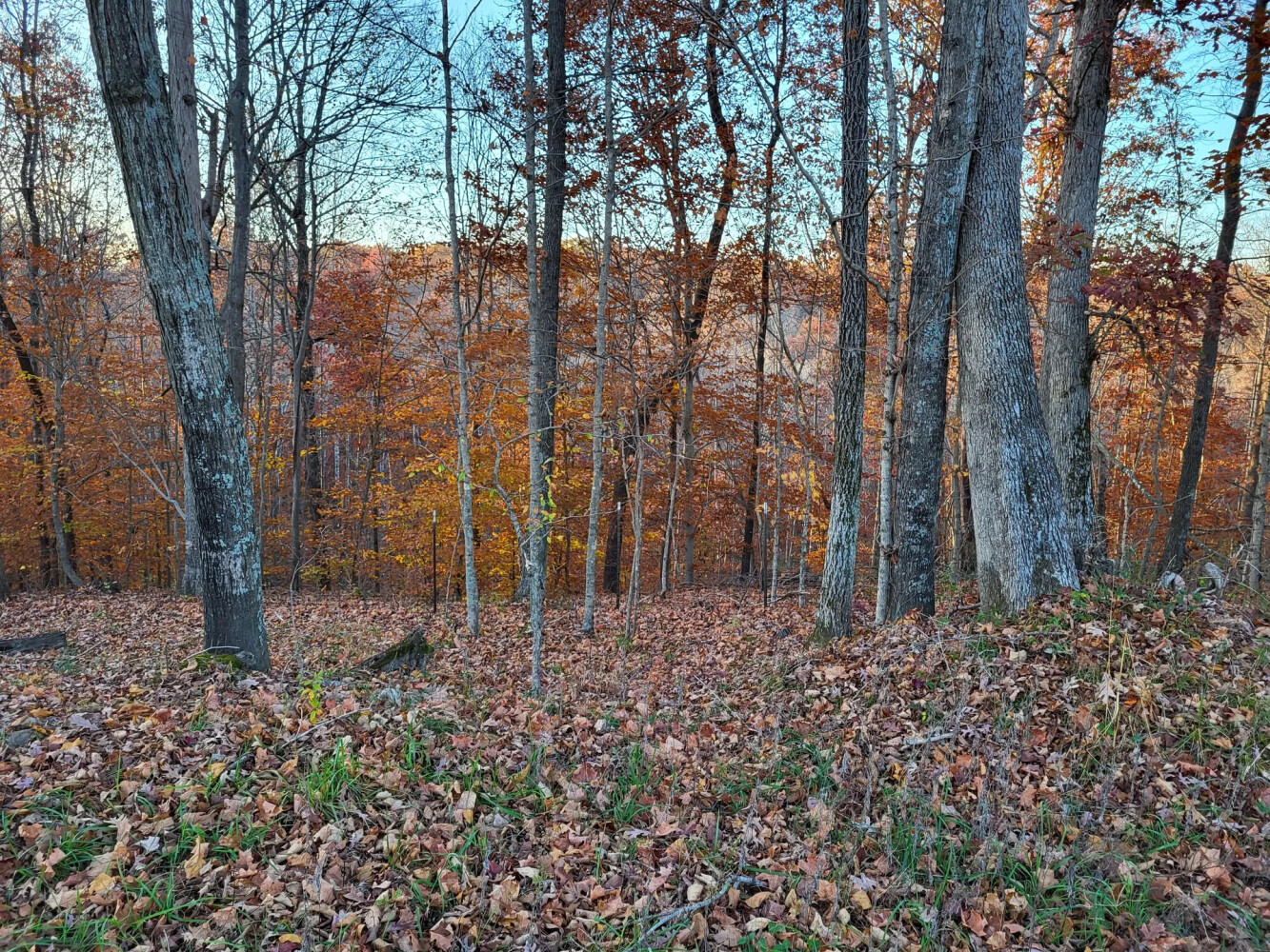 1345 Jenkins Road, Bowling Green, KY, 42101