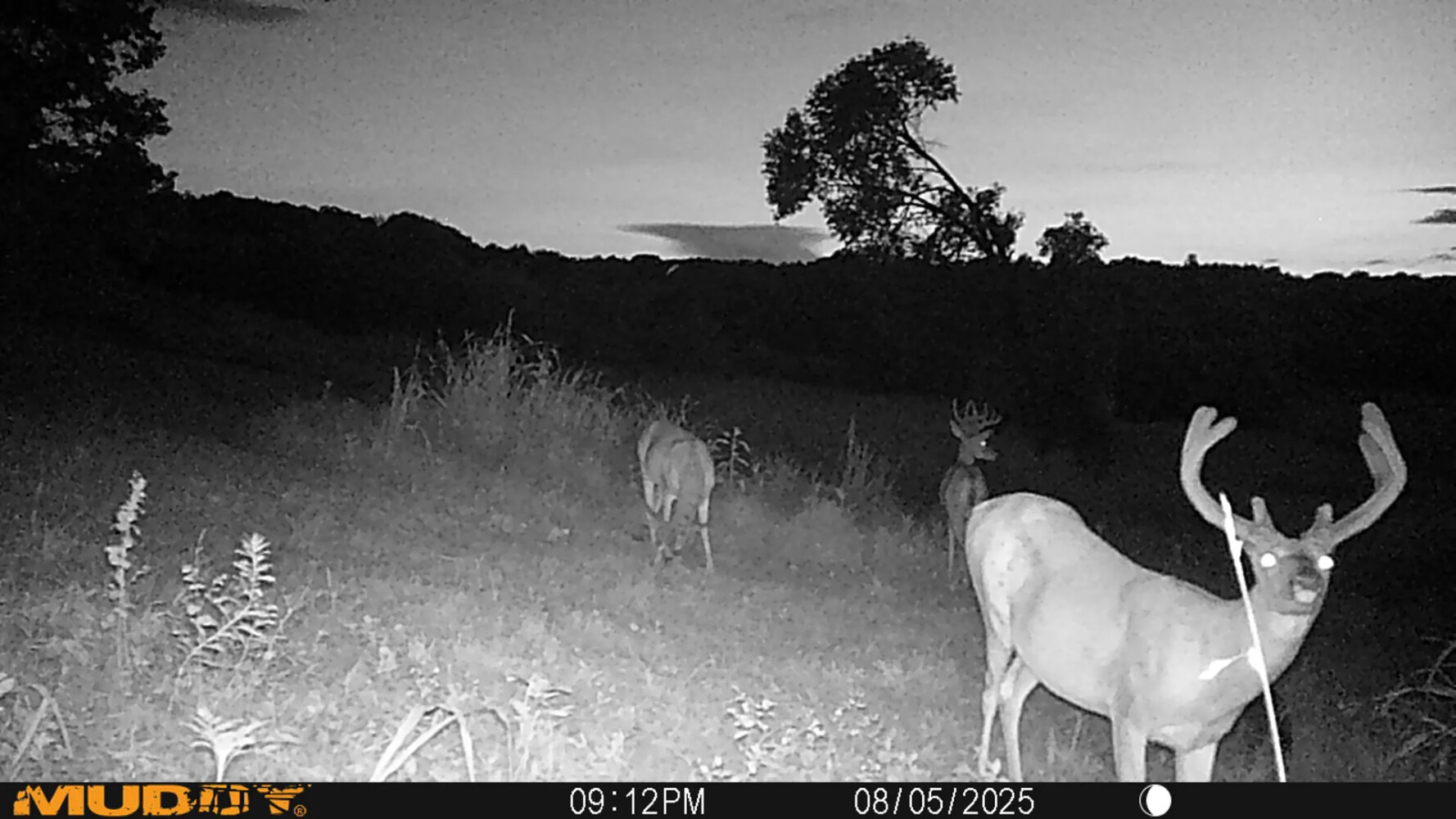 1345 Jenkins Road, Bowling Green, KY, 42101