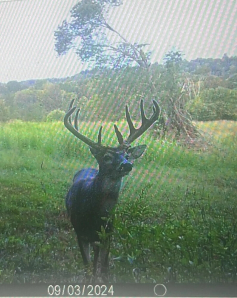 1345 Jenkins Road, Bowling Green, KY, 42101