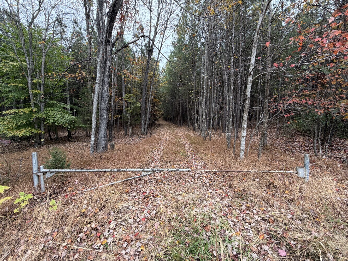 609 Ball Mountain Ln, Shipman, VA, 22971