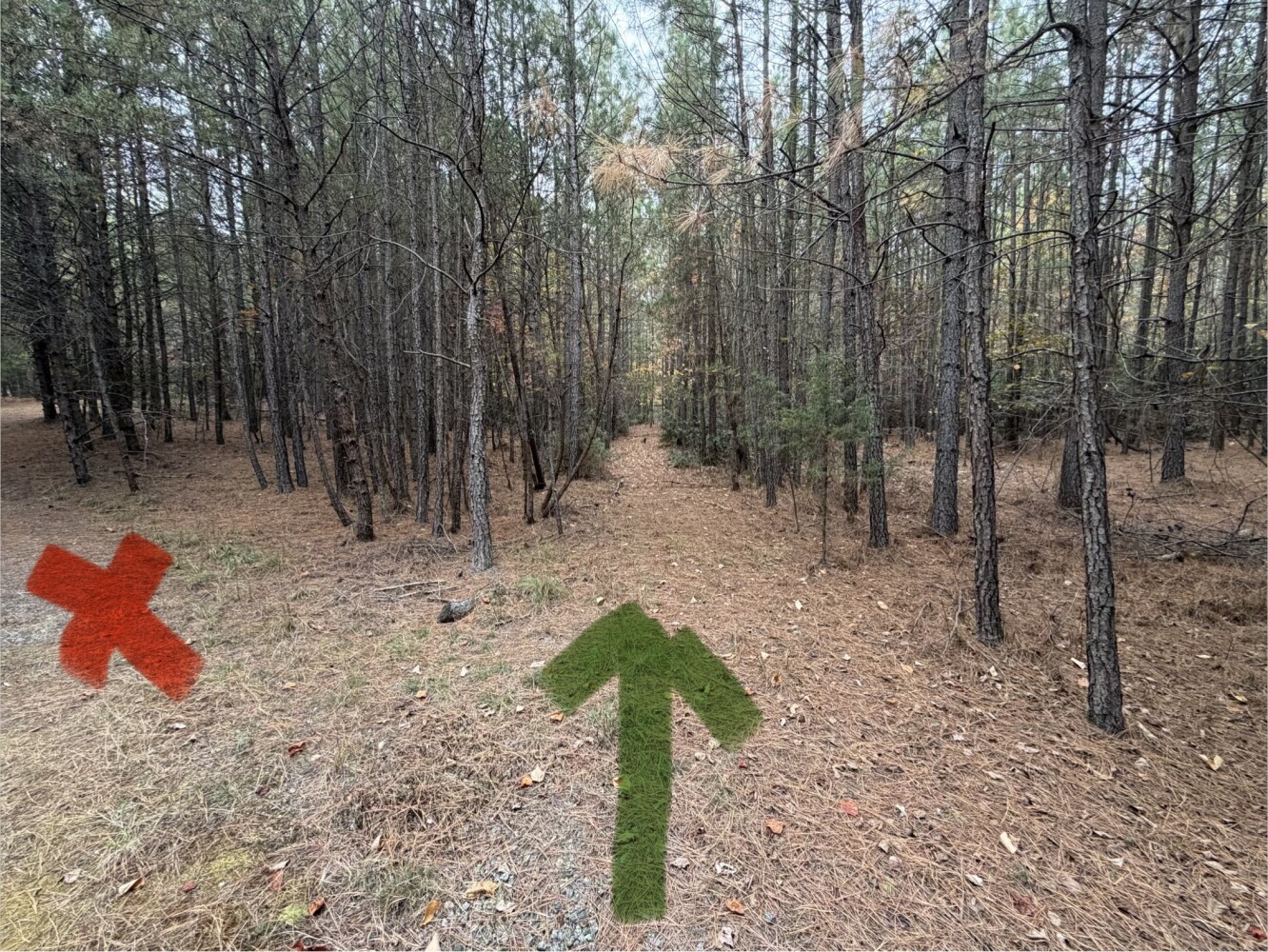 609 Ball Mountain Ln, Shipman, VA, 22971