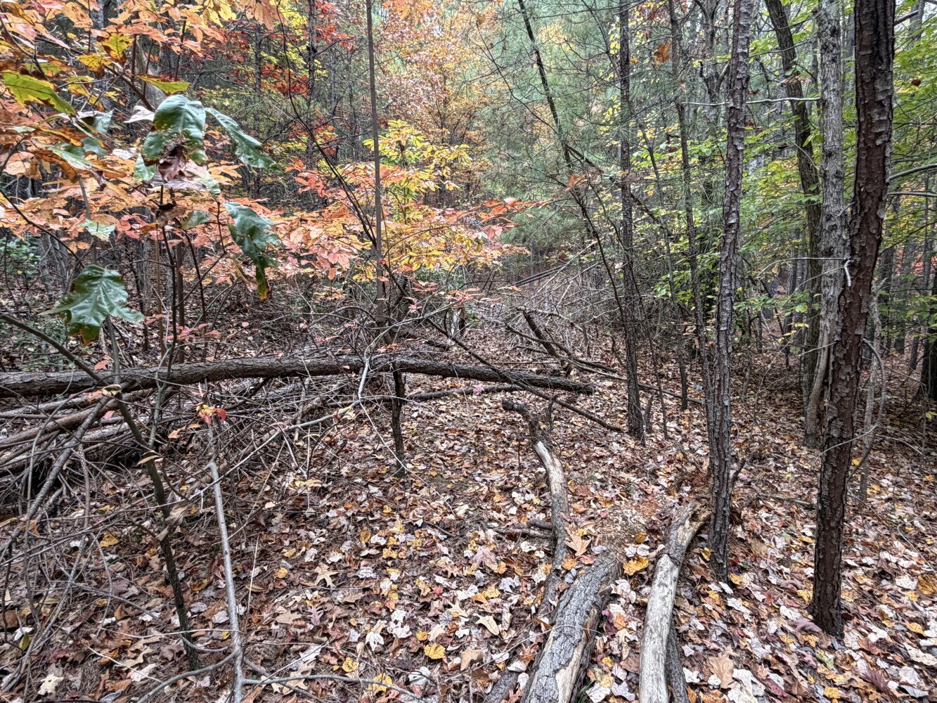 609 Ball Mountain Ln, Shipman, VA, 22971