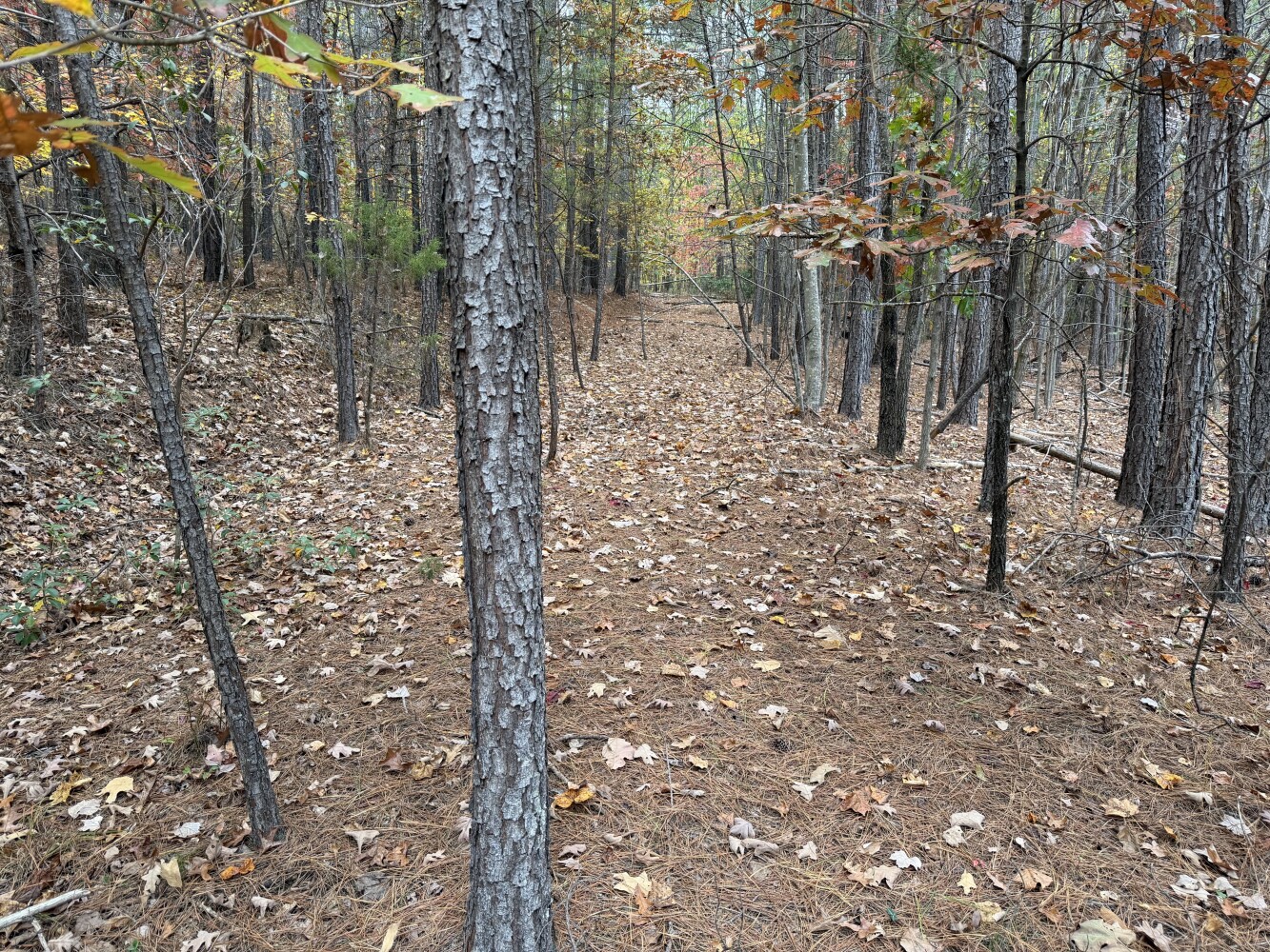 609 Ball Mountain Ln, Shipman, VA, 22971