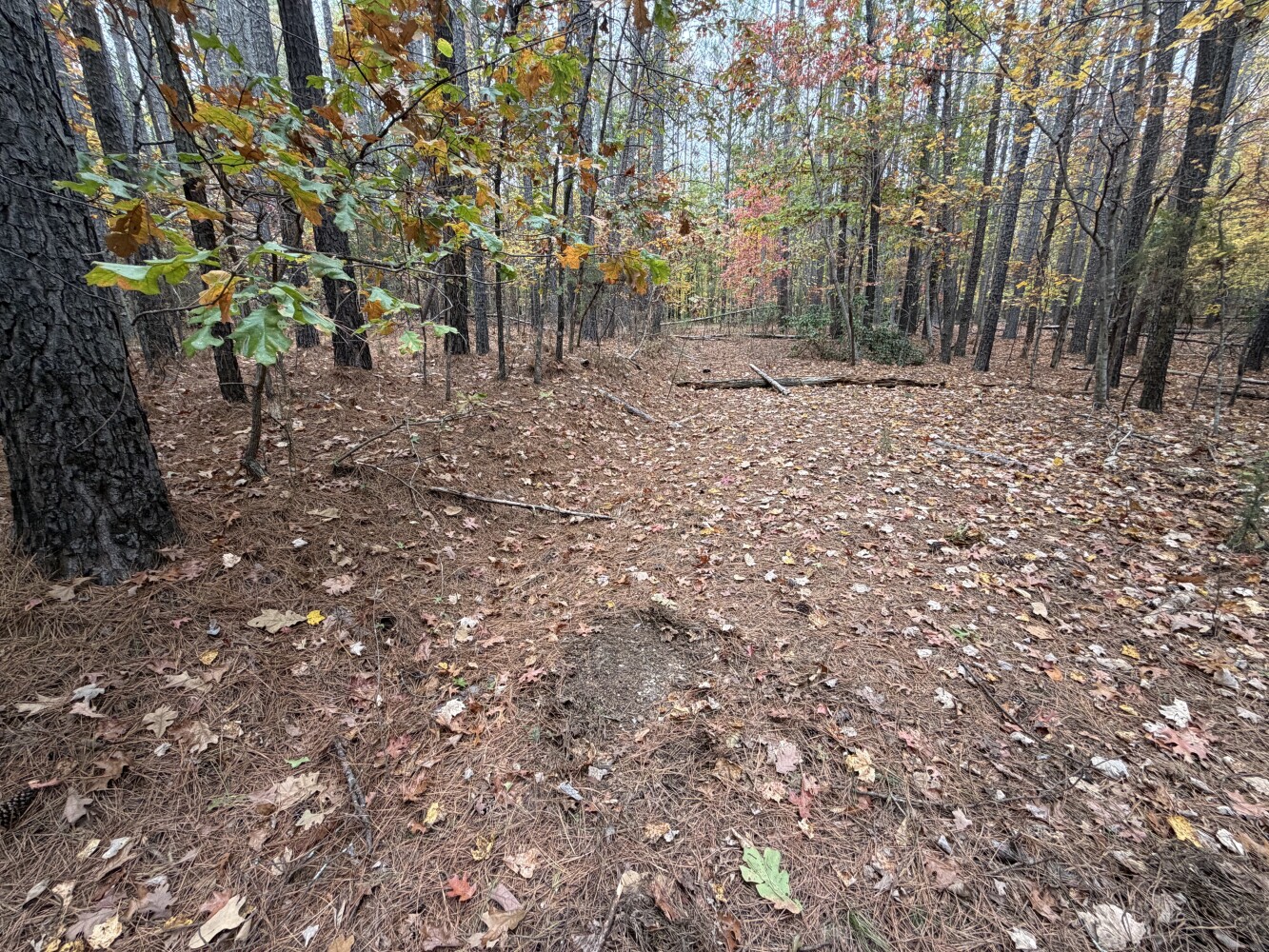 609 Ball Mountain Ln, Shipman, VA, 22971