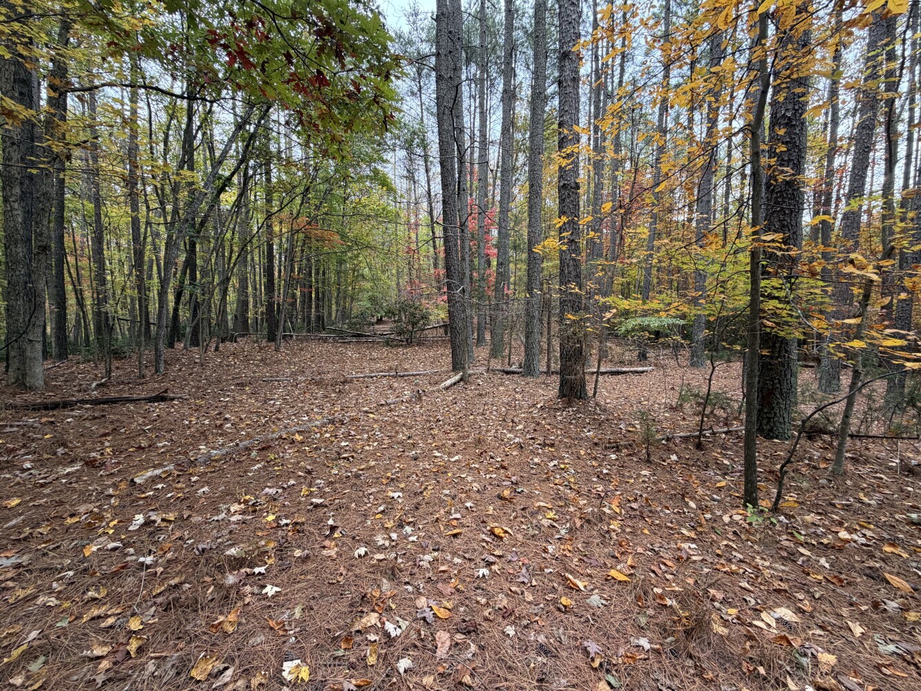 609 Ball Mountain Ln, Shipman, VA, 22971