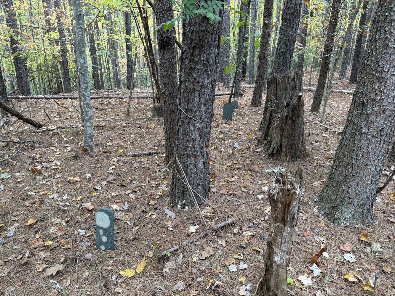 609 Ball Mountain Ln, Shipman, VA, 22971