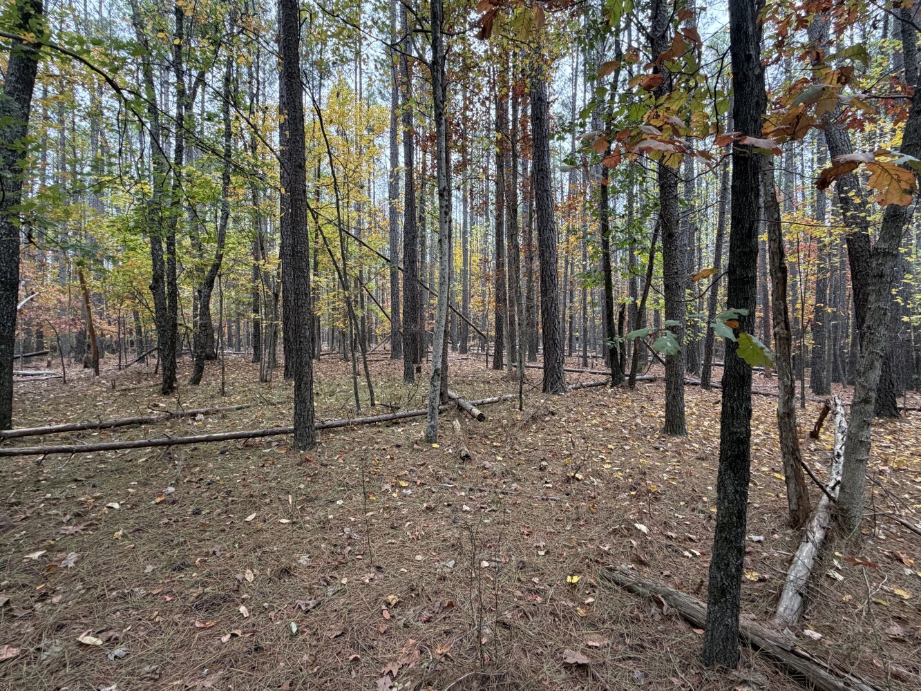 609 Ball Mountain Ln, Shipman, VA, 22971