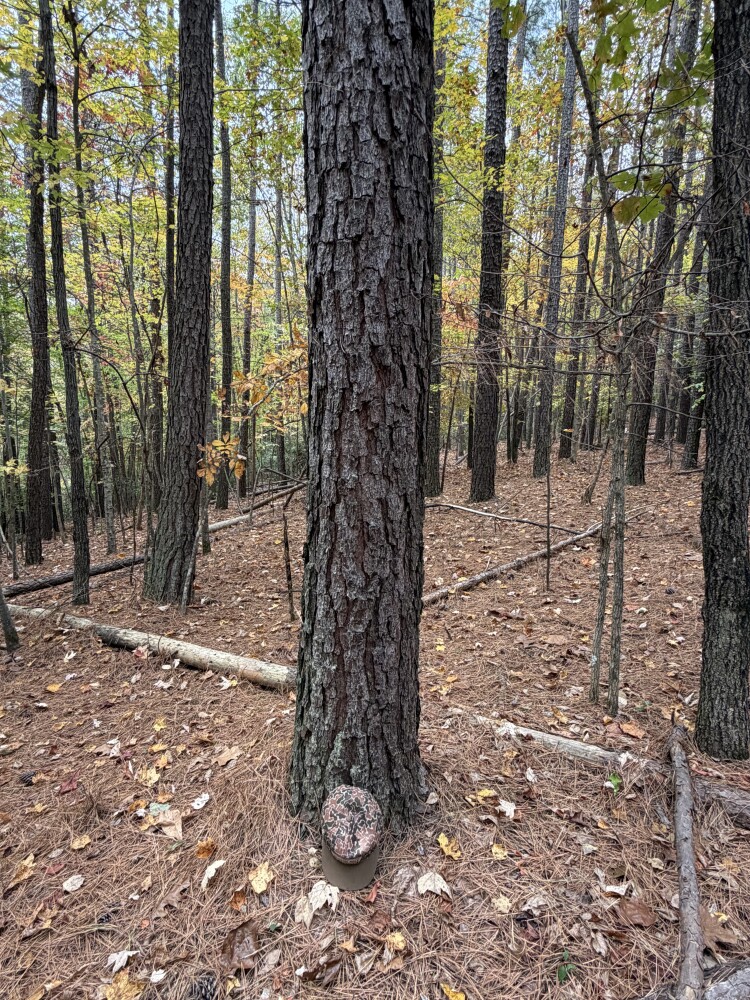 609 Ball Mountain Ln, Shipman, VA, 22971