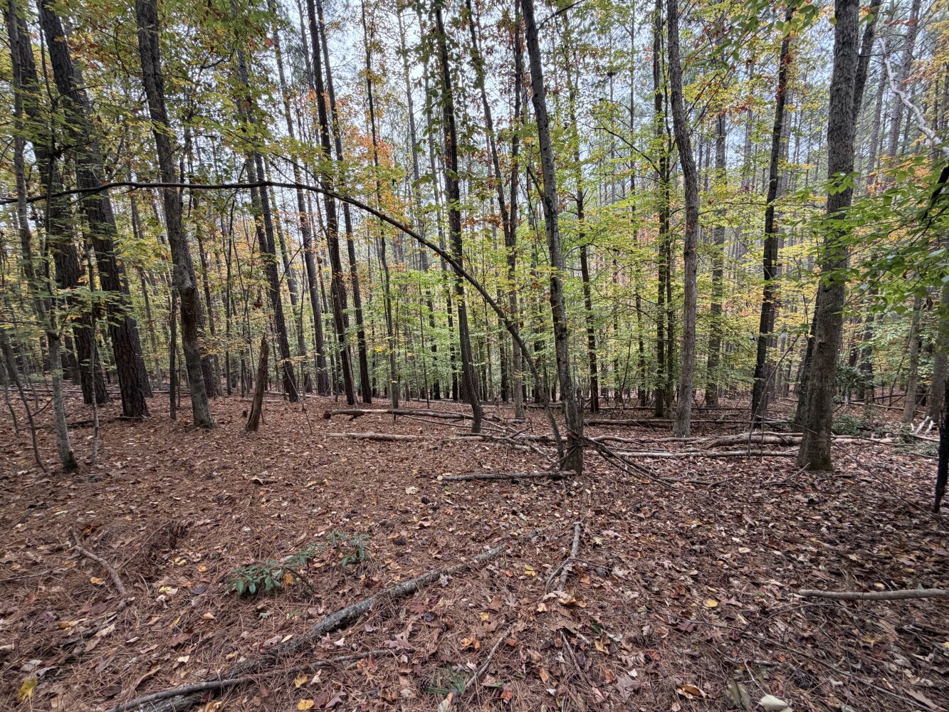 609 Ball Mountain Ln, Shipman, VA, 22971