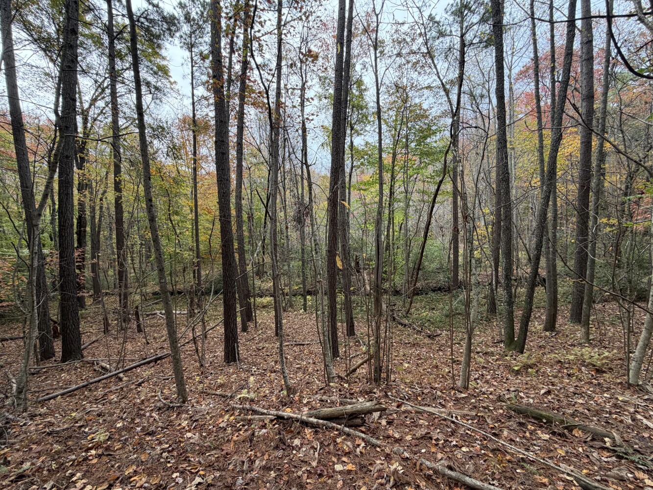 609 Ball Mountain Ln, Shipman, VA, 22971