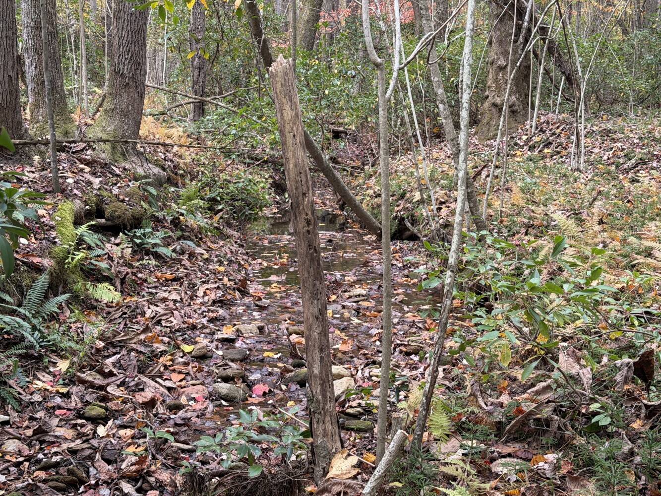 609 Ball Mountain Ln, Shipman, VA, 22971