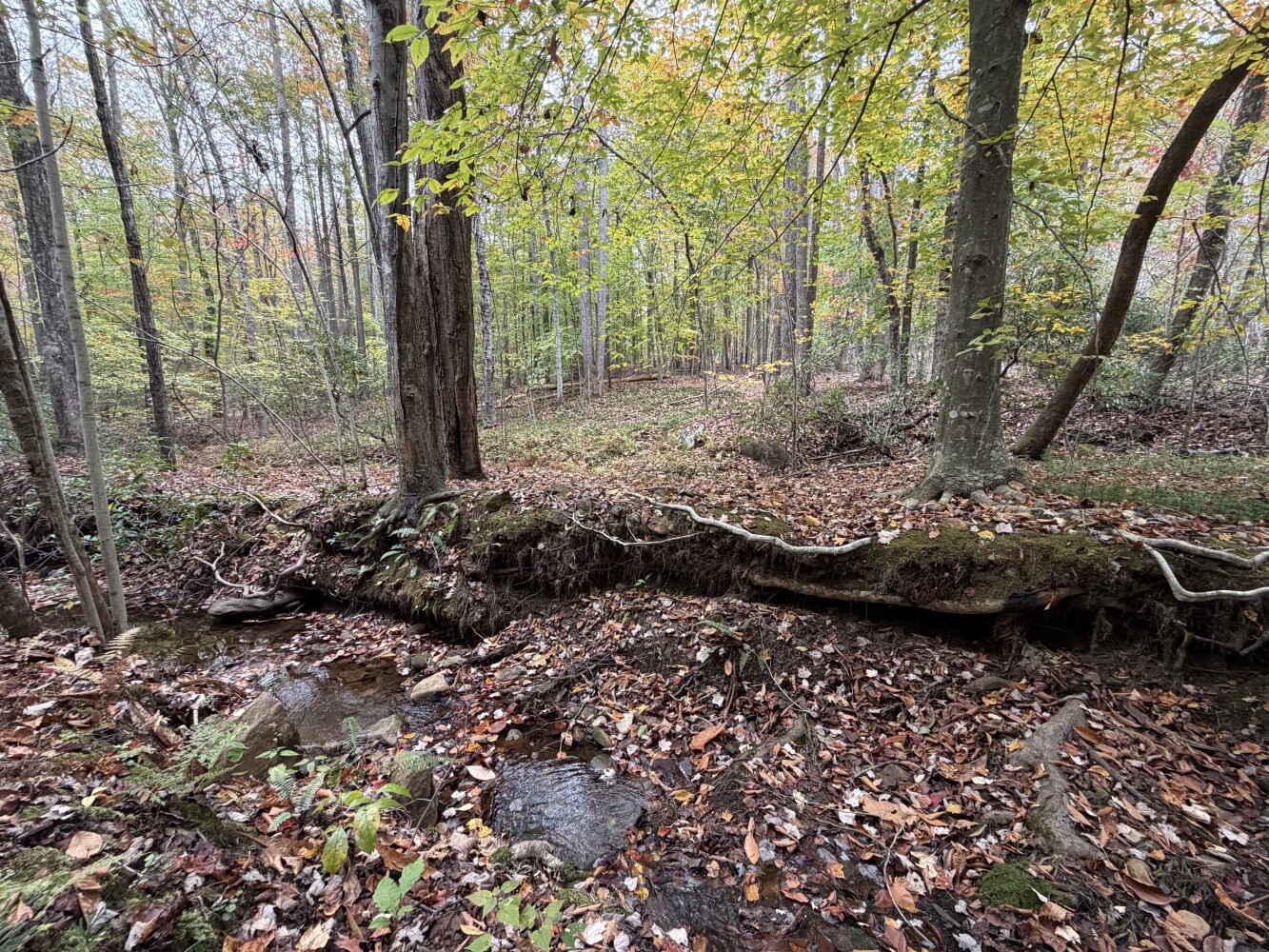 609 Ball Mountain Ln, Shipman, VA, 22971