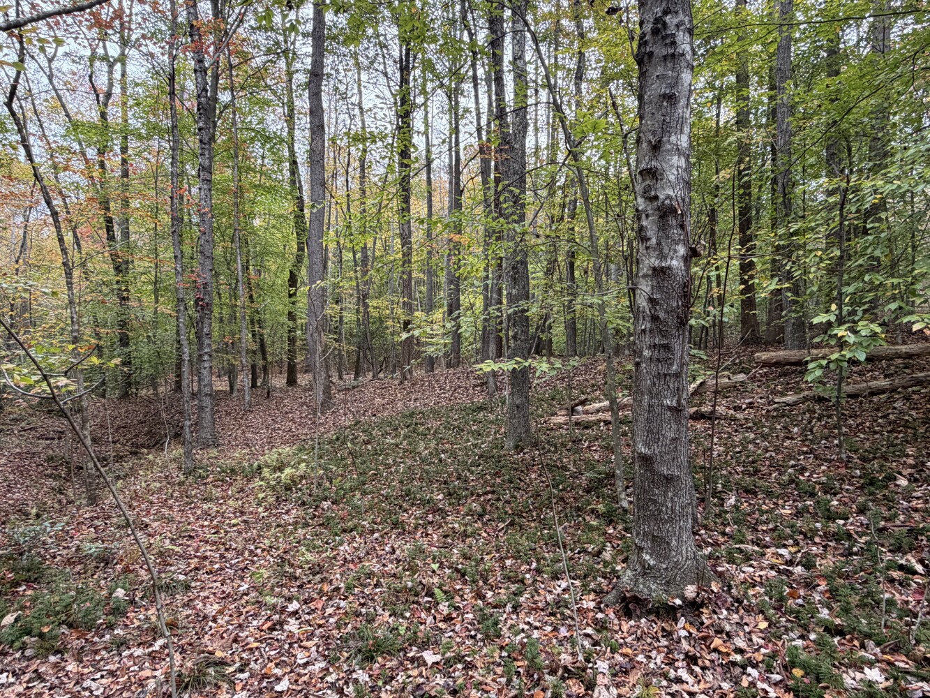 609 Ball Mountain Ln, Shipman, VA, 22971