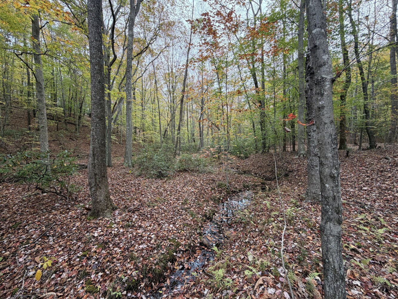 609 Ball Mountain Ln, Shipman, VA, 22971