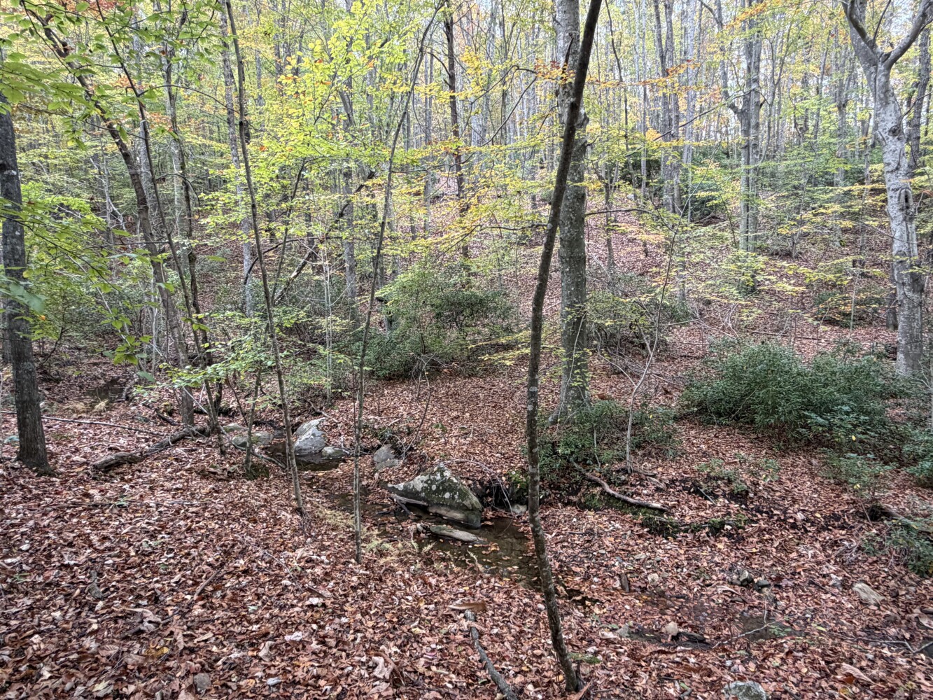 609 Ball Mountain Ln, Shipman, VA, 22971