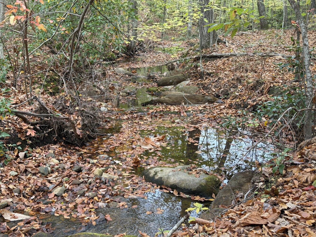 609 Ball Mountain Ln, Shipman, VA, 22971