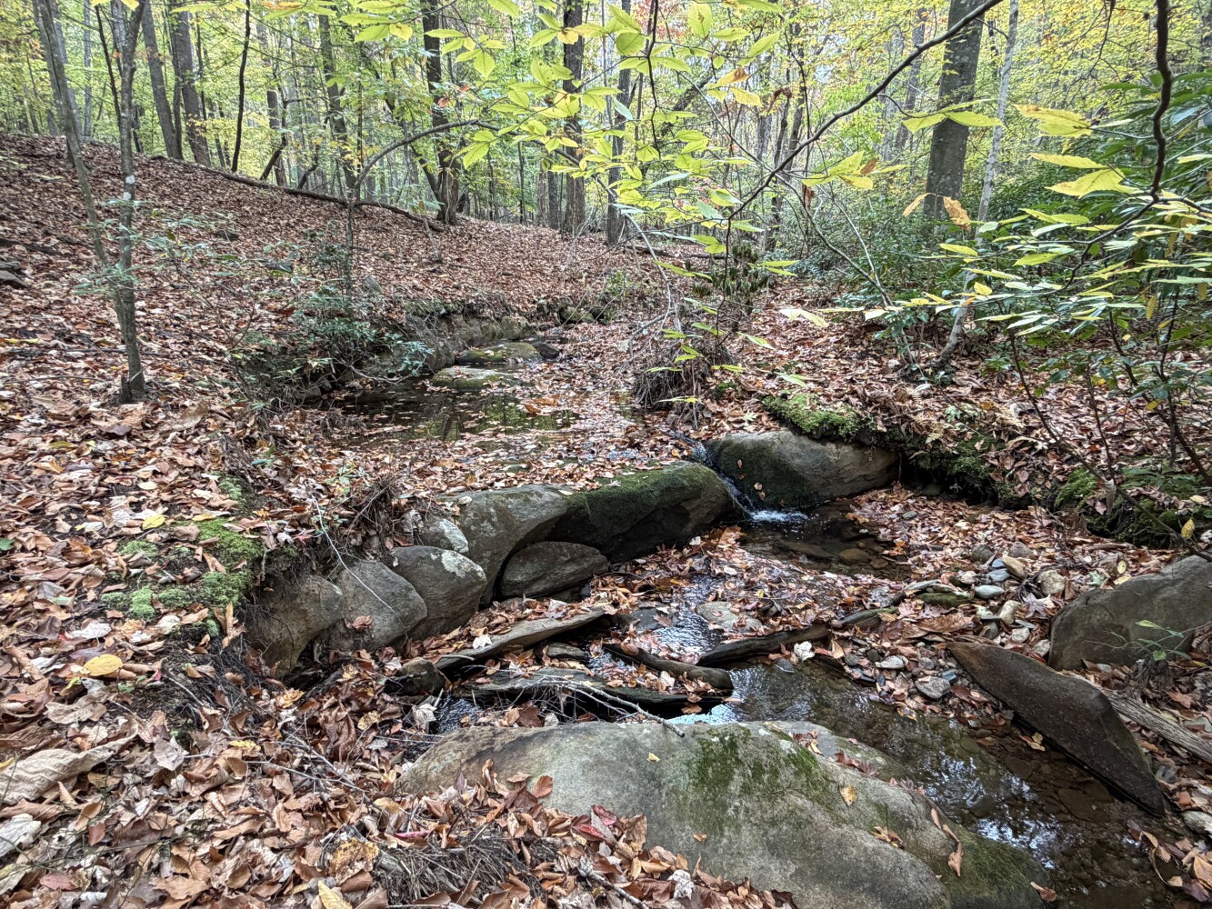 609 Ball Mountain Ln, Shipman, VA, 22971