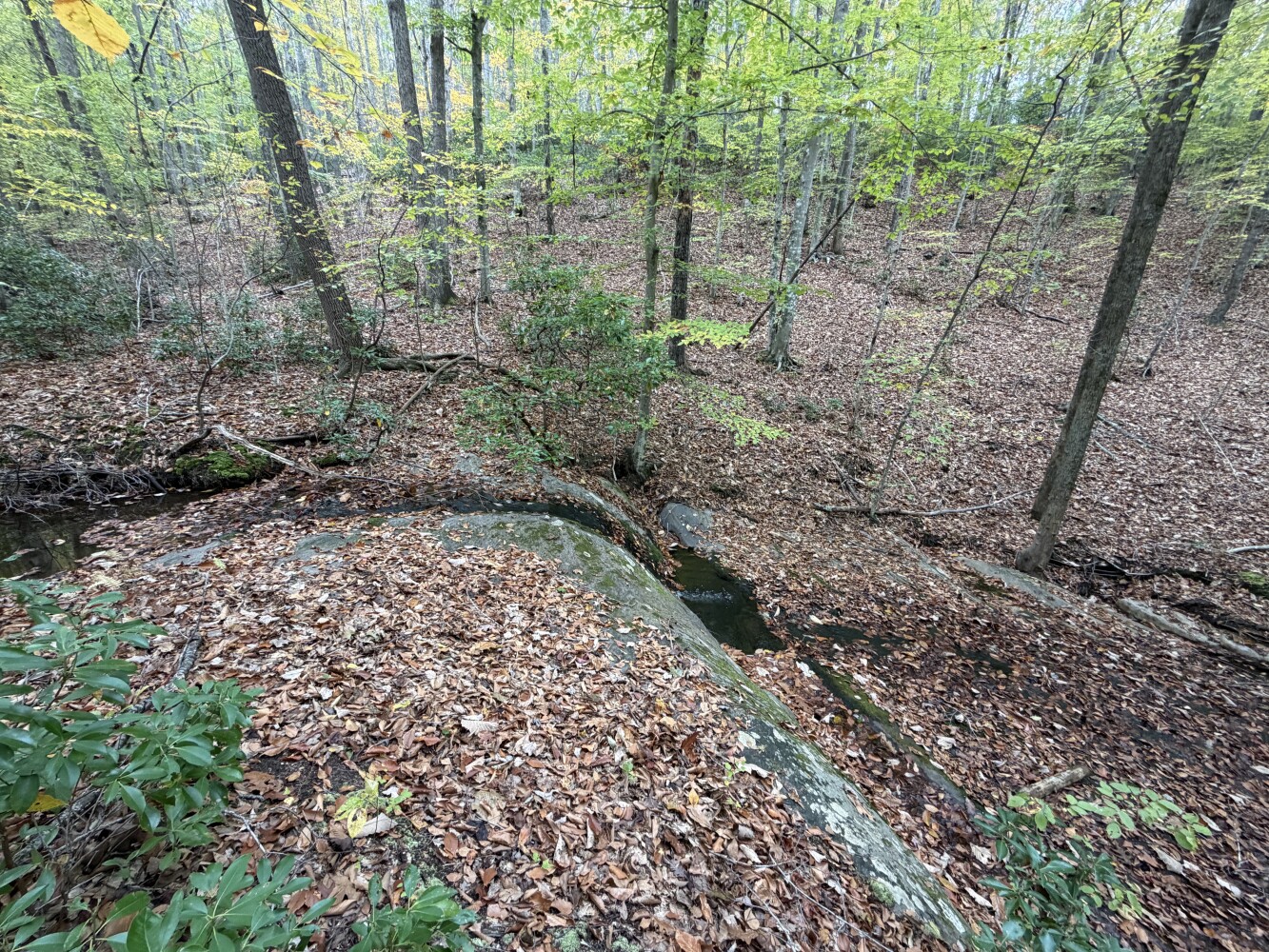 609 Ball Mountain Ln, Shipman, VA, 22971