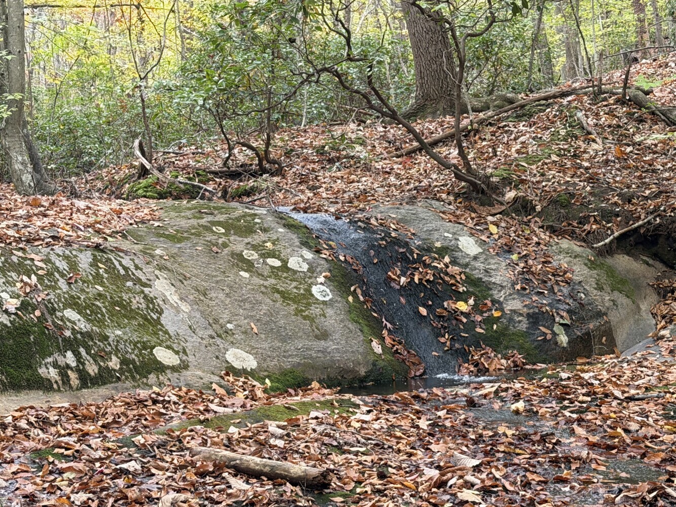 1st Street Howard Beach, Queens, NY, 11414