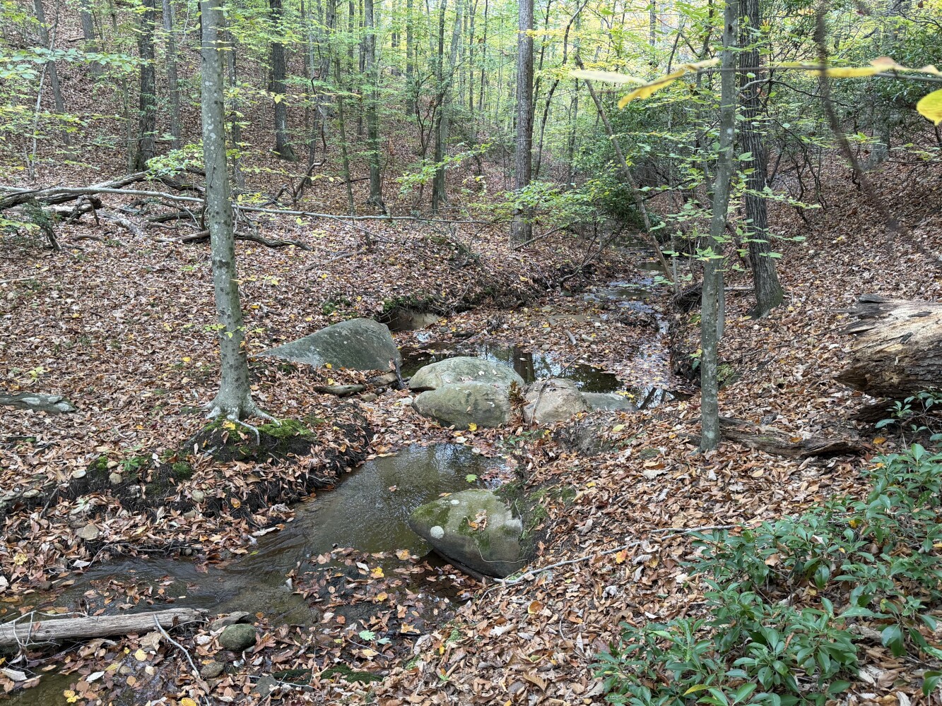 609 Ball Mountain Ln, Shipman, VA, 22971