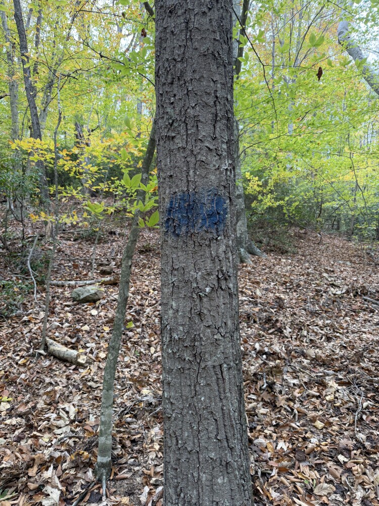 609 Ball Mountain Ln, Shipman, VA, 22971