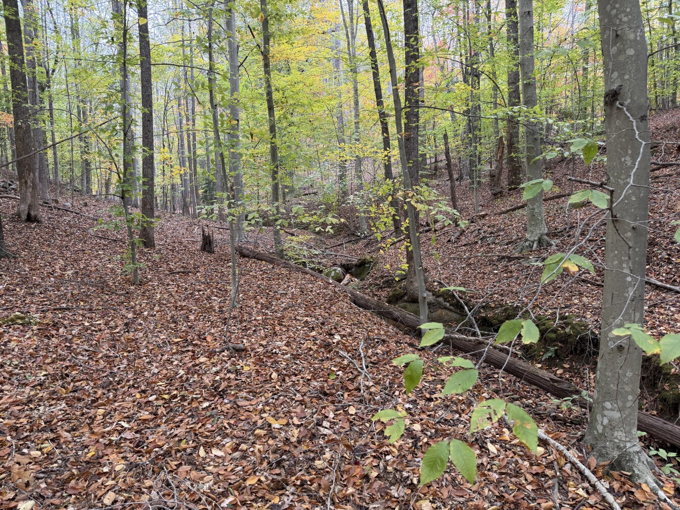 609 Ball Mountain Ln, Shipman, VA, 22971