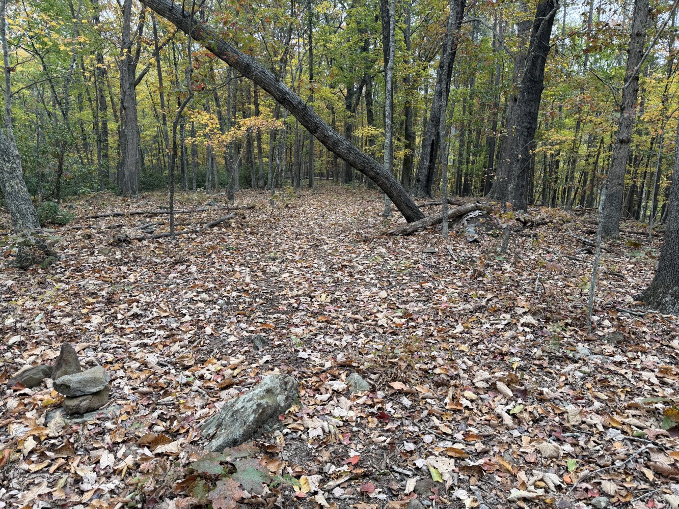 609 Ball Mountain Ln, Shipman, VA, 22971