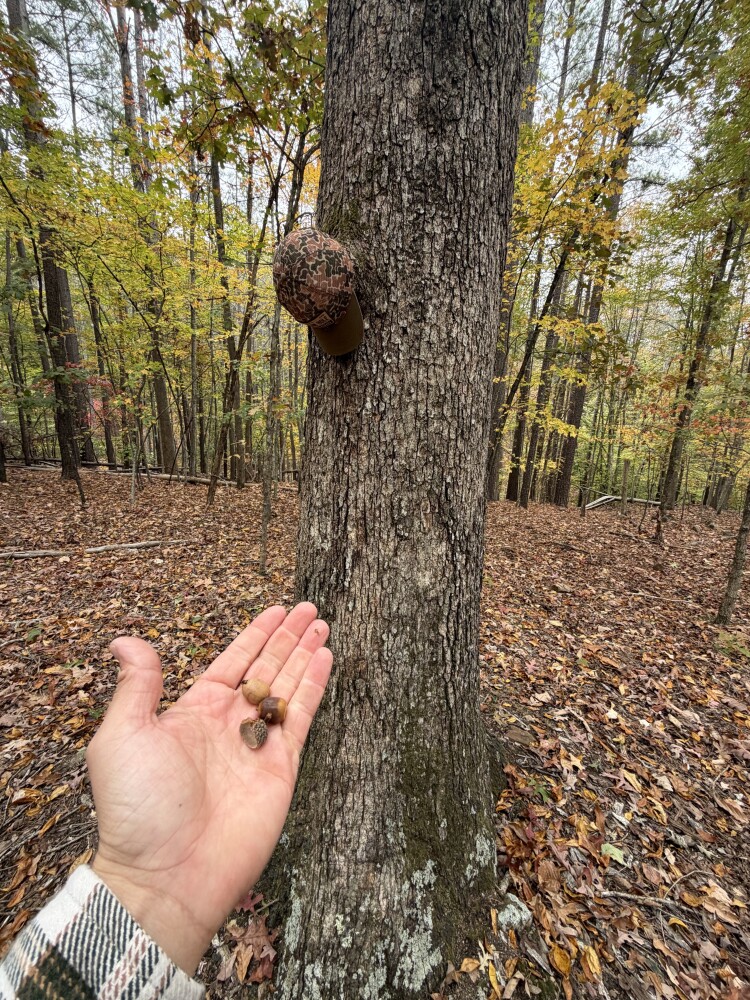 609 Ball Mountain Ln, Shipman, VA, 22971