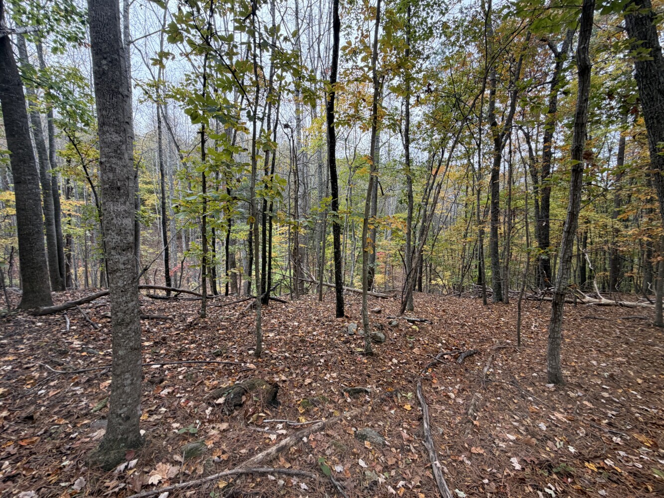 609 Ball Mountain Ln, Shipman, VA, 22971