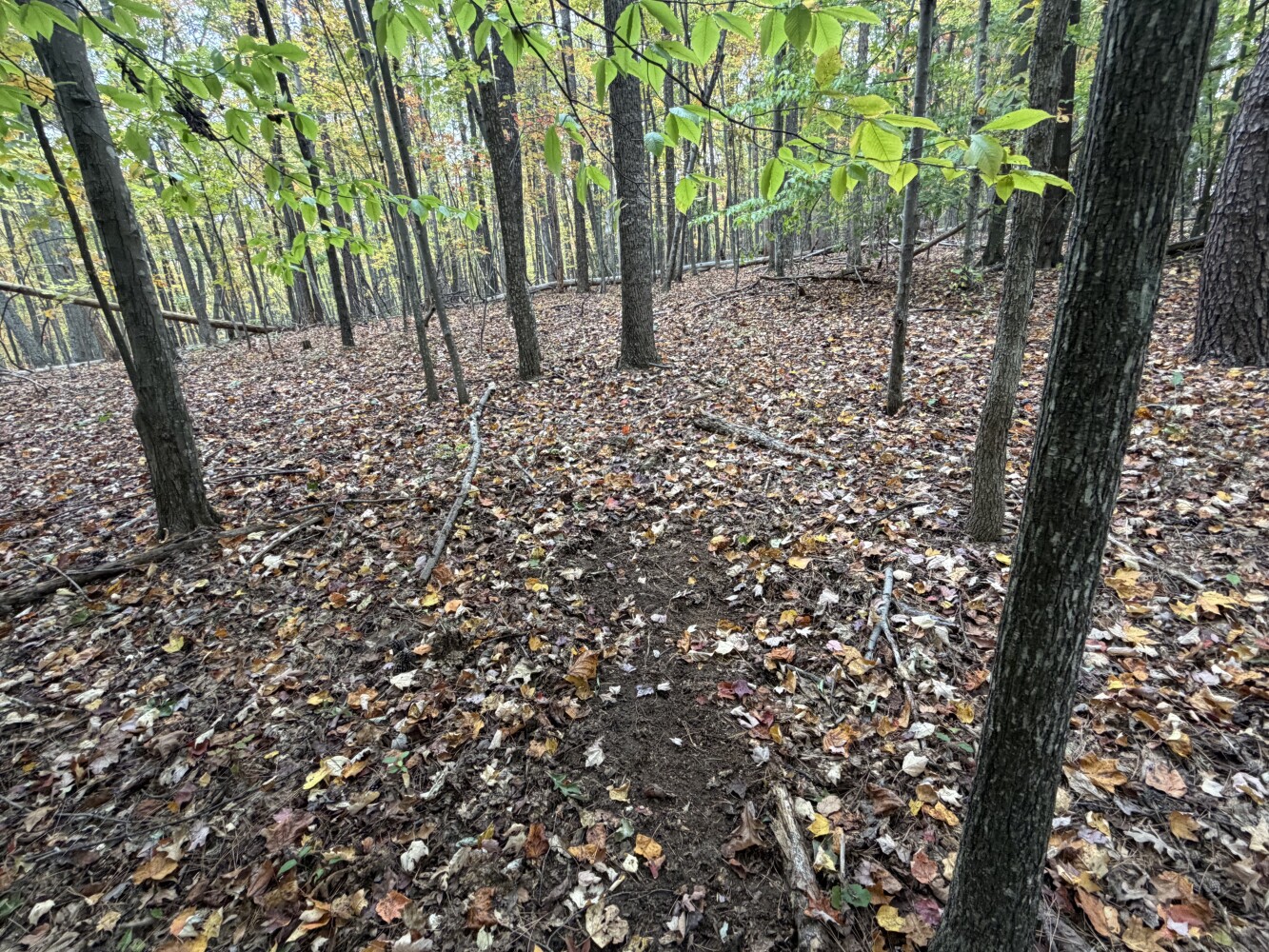 609 Ball Mountain Ln, Shipman, VA, 22971