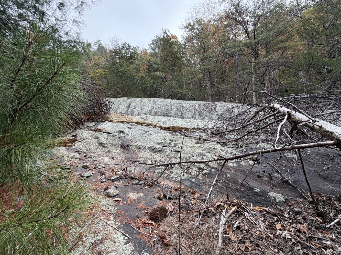 609 Ball Mountain Ln, Shipman, VA, 22971