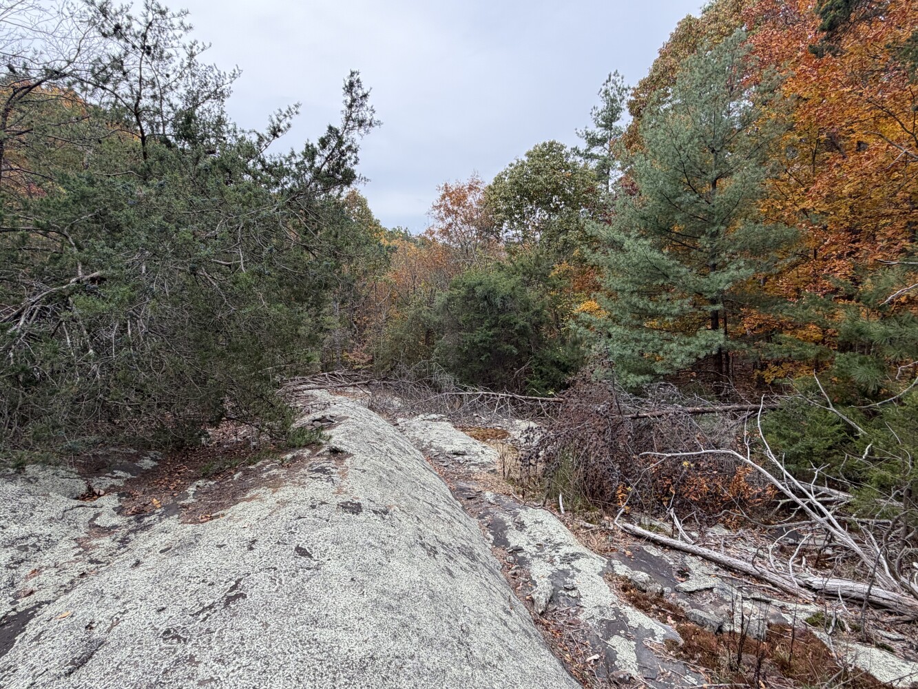 609 Ball Mountain Ln, Shipman, VA, 22971