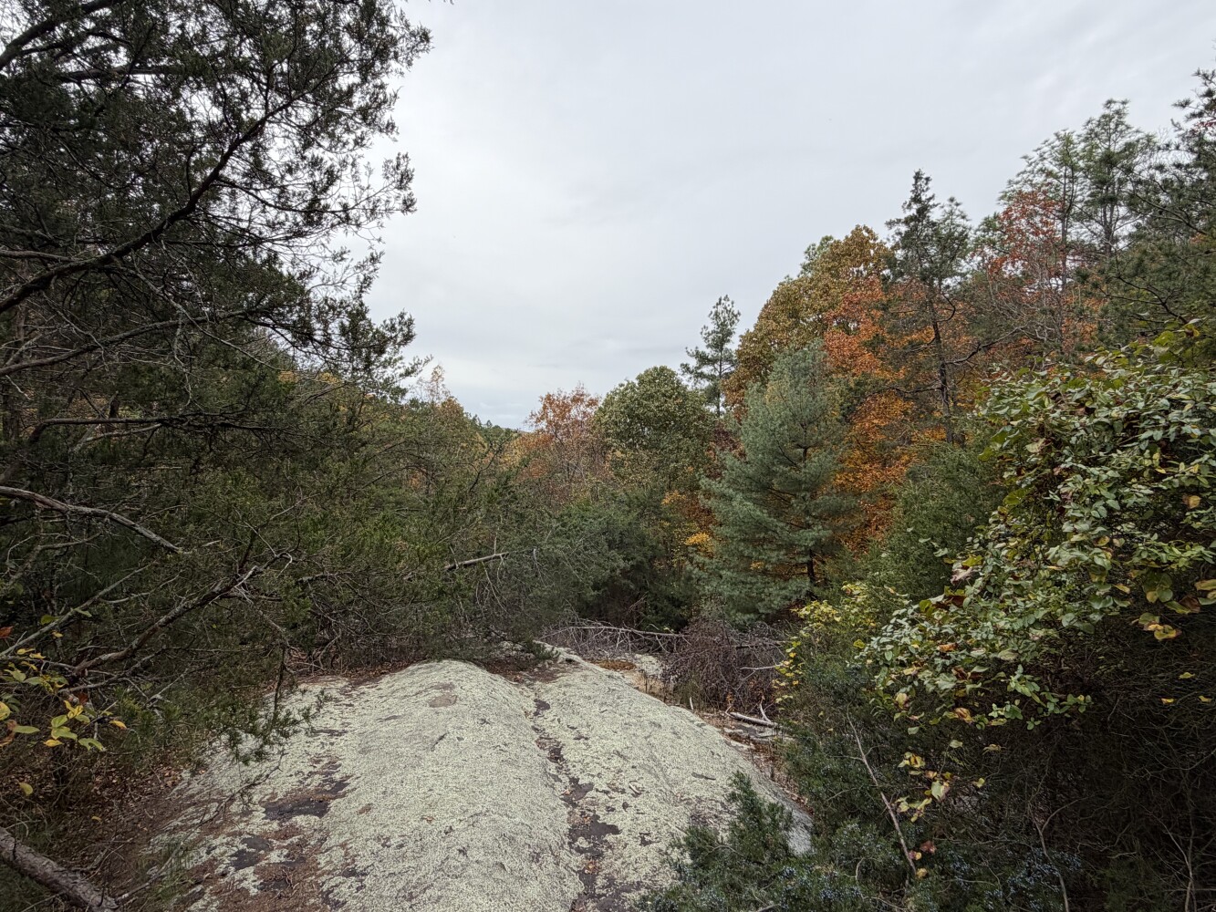 609 Ball Mountain Ln, Shipman, VA, 22971