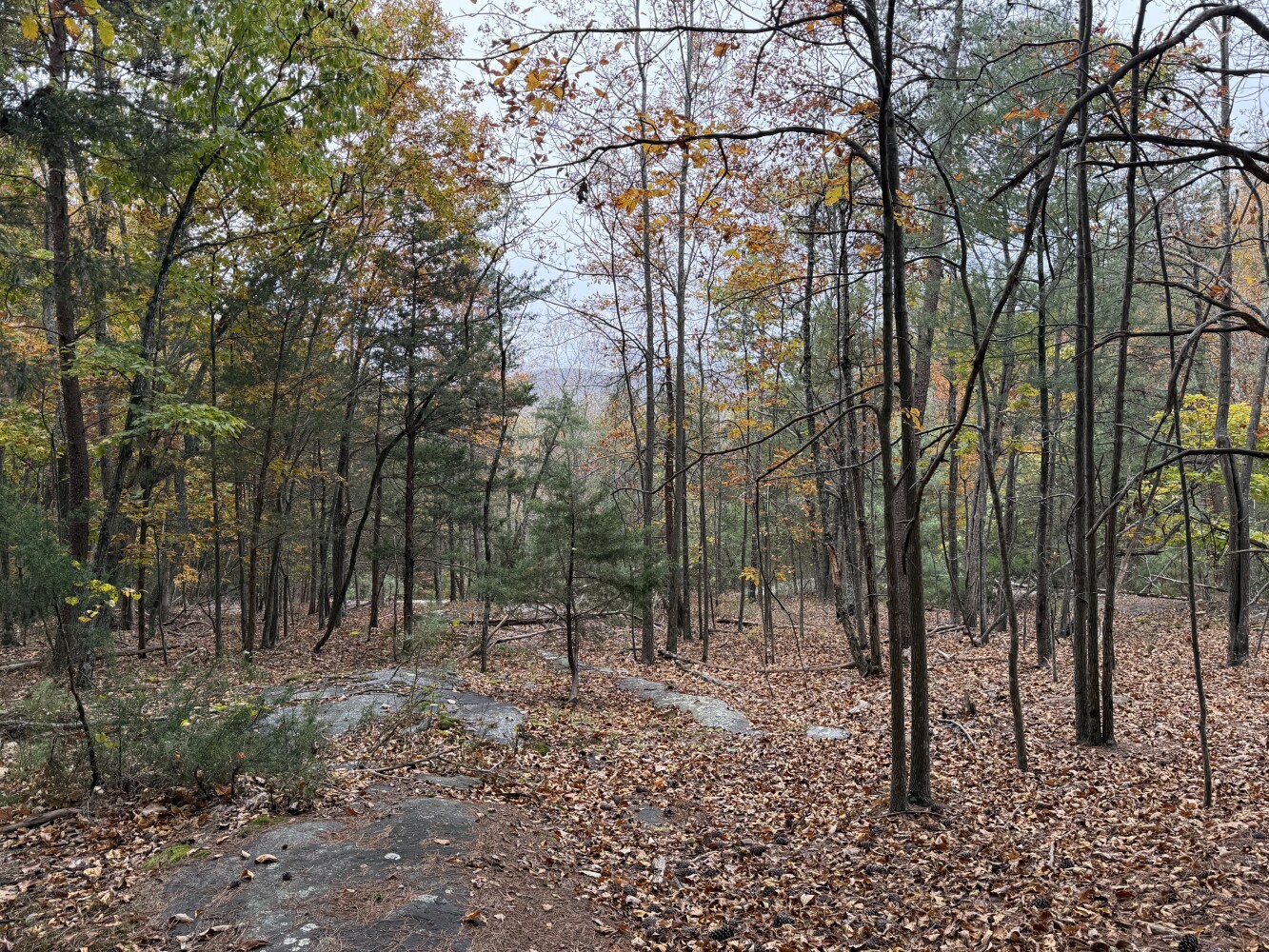 609 Ball Mountain Ln, Shipman, VA, 22971