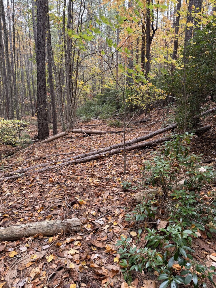 609 Ball Mountain Ln, Shipman, VA, 22971