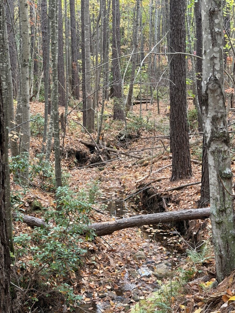 609 Ball Mountain Ln, Shipman, VA, 22971