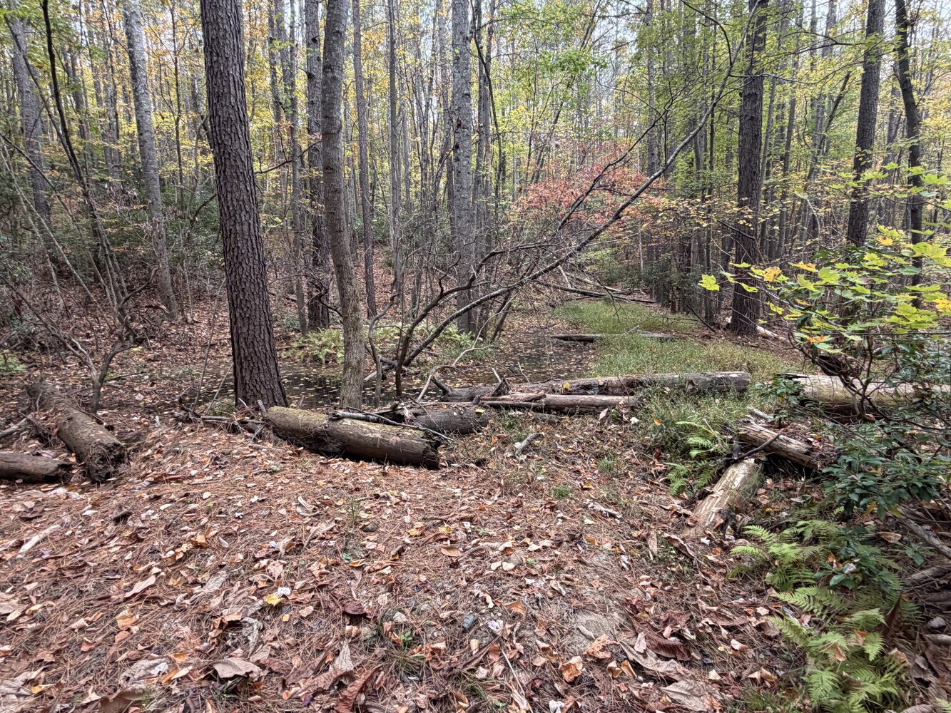 609 Ball Mountain Ln, Shipman, VA, 22971