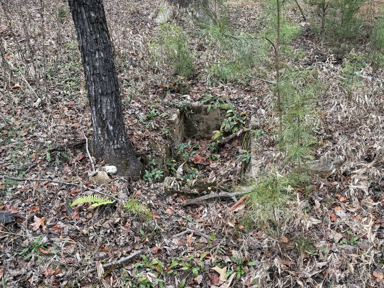 609 Ball Mountain Ln, Shipman, VA, 22971