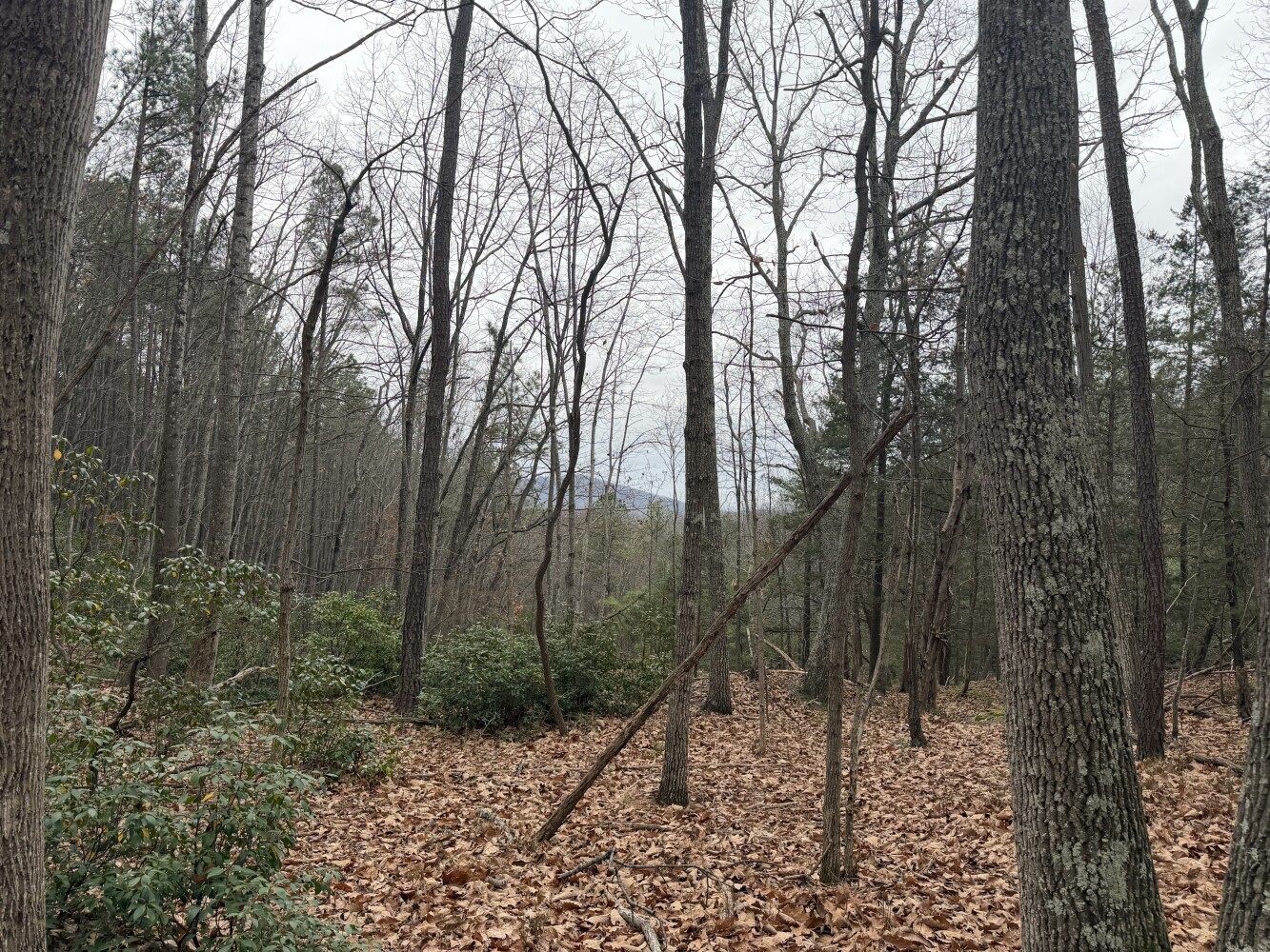 609 Ball Mountain Ln, Shipman, VA, 22971