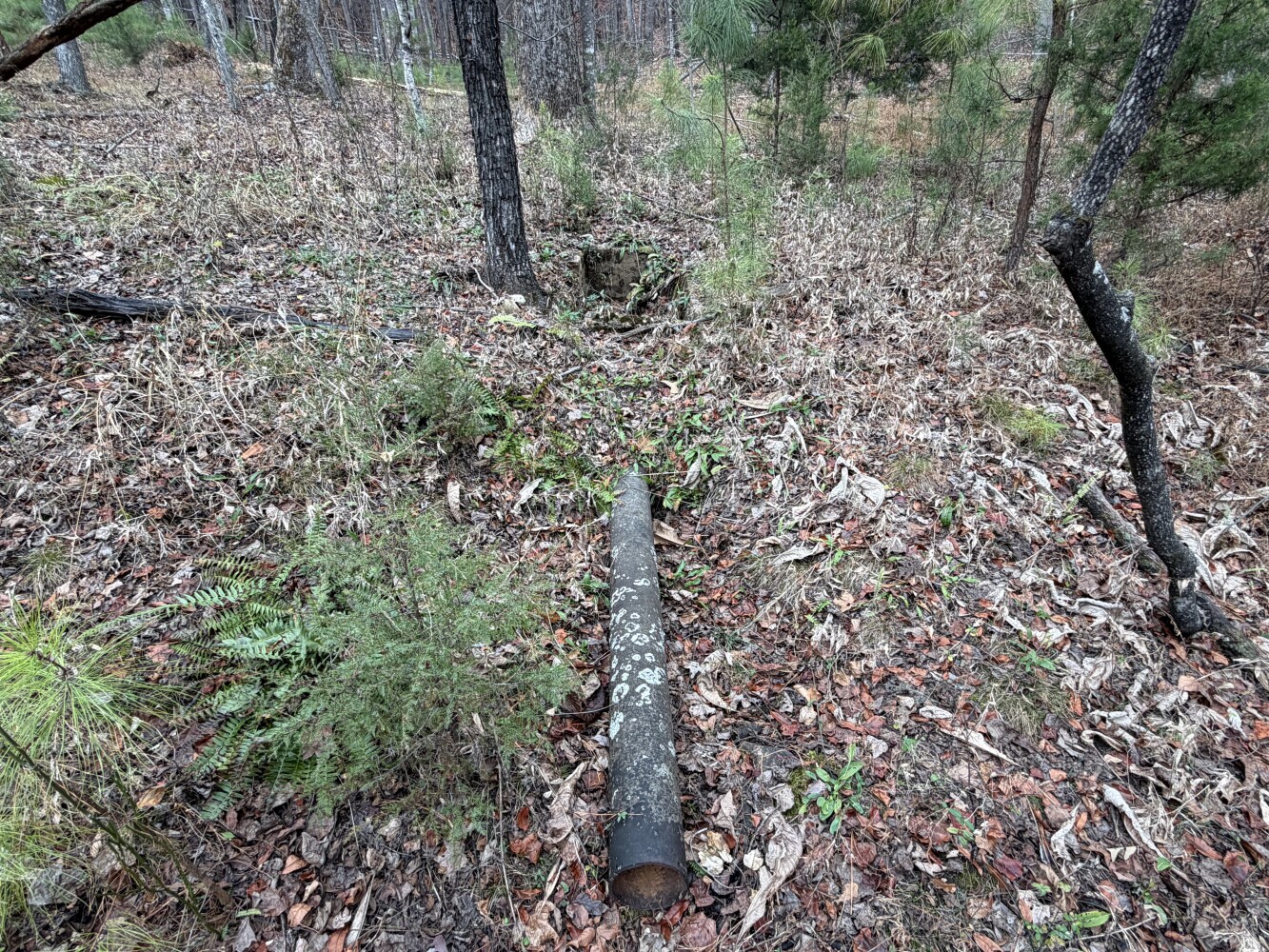 609 Ball Mountain Ln, Shipman, VA, 22971