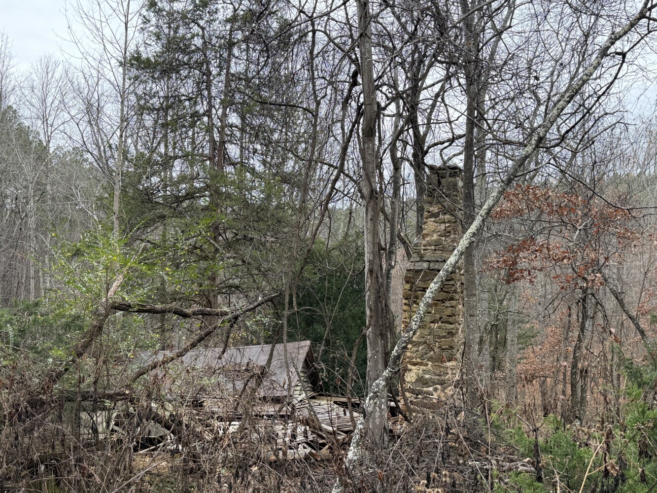 609 Ball Mountain Ln, Shipman, VA, 22971