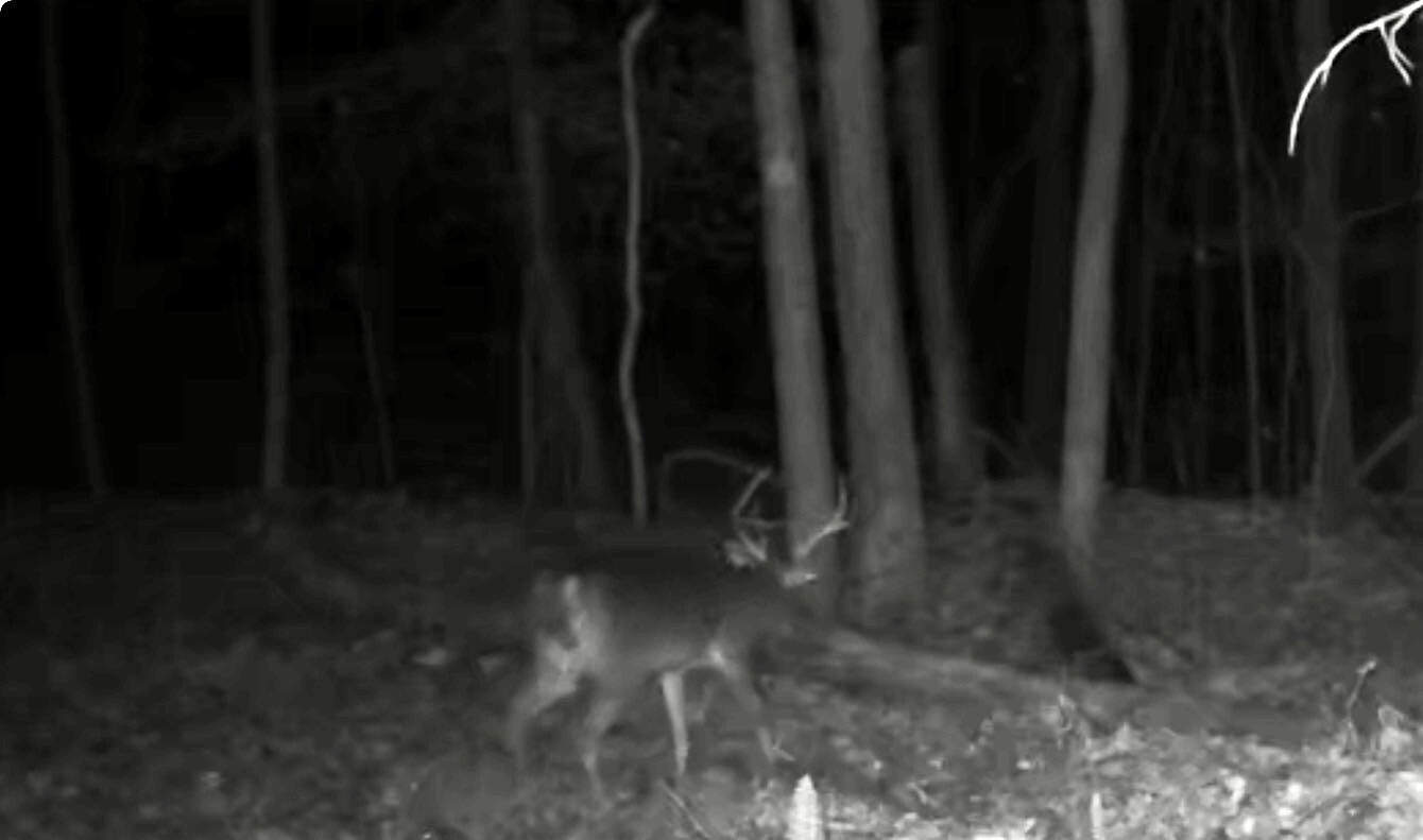 609 Ball Mountain Ln, Shipman, VA, 22971