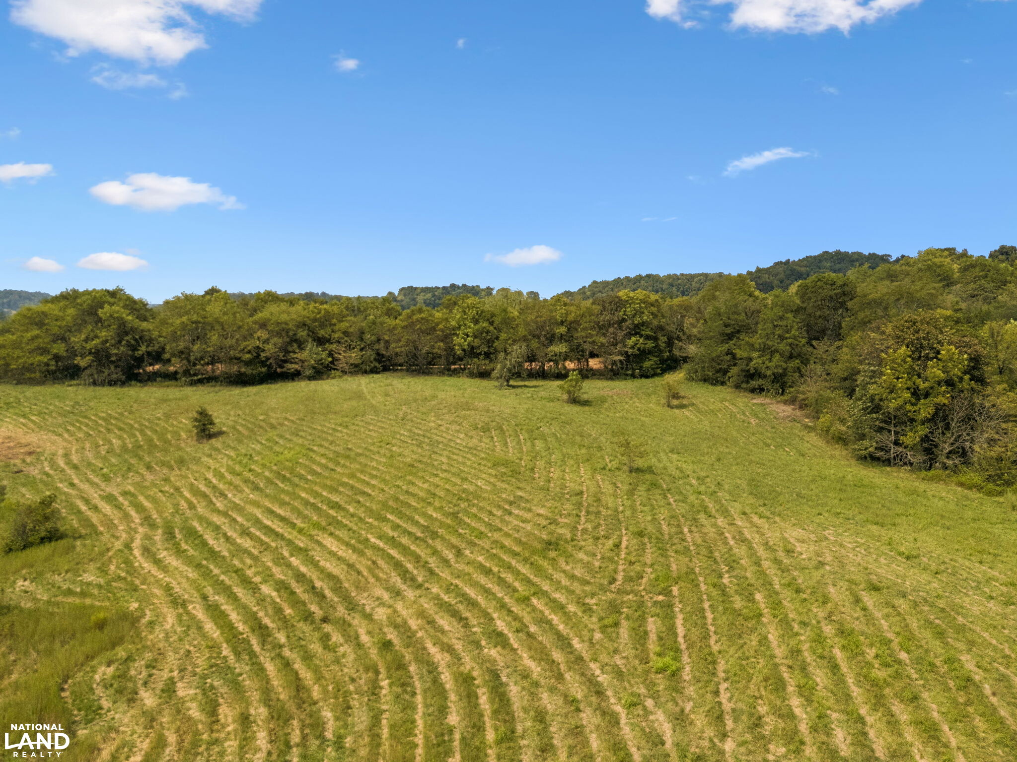 Shoal Creek Ridge Lot 12 in Giles County, Tennessee (8 Photos ...