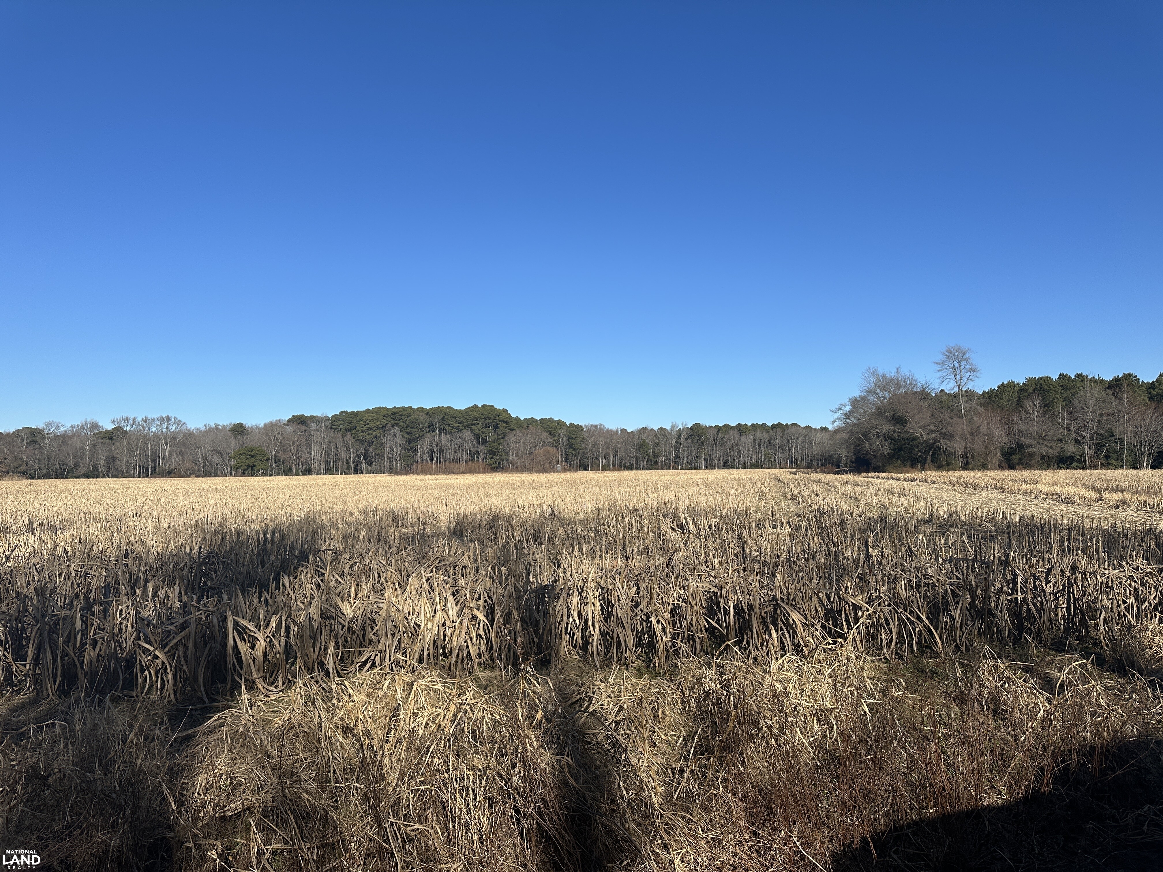 Bivalve Lodge Farmette in Wicomico County, Maryland (44 Photos ...