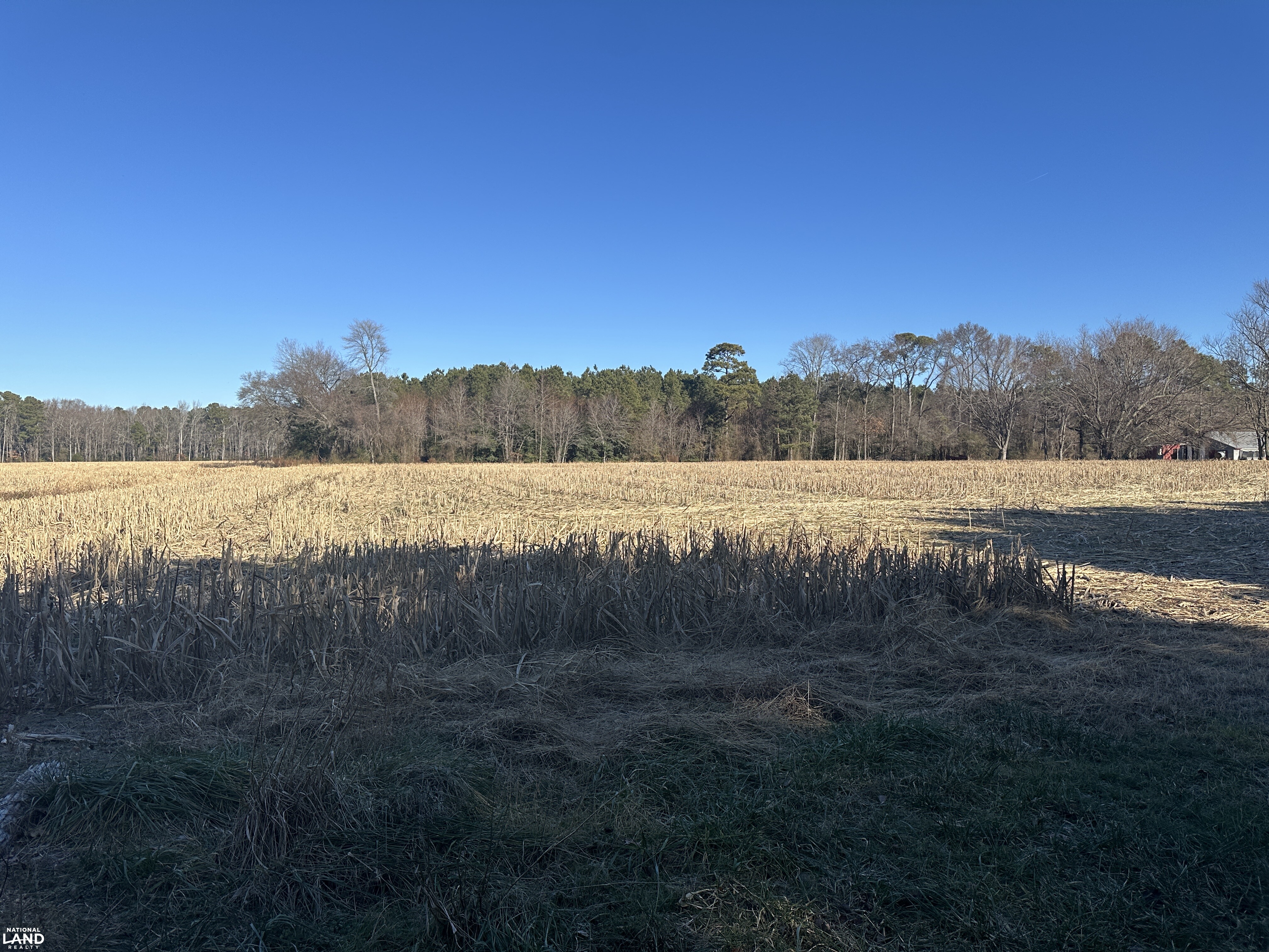 Bivalve Lodge Farmette in Wicomico County, Maryland (44 Photos ...