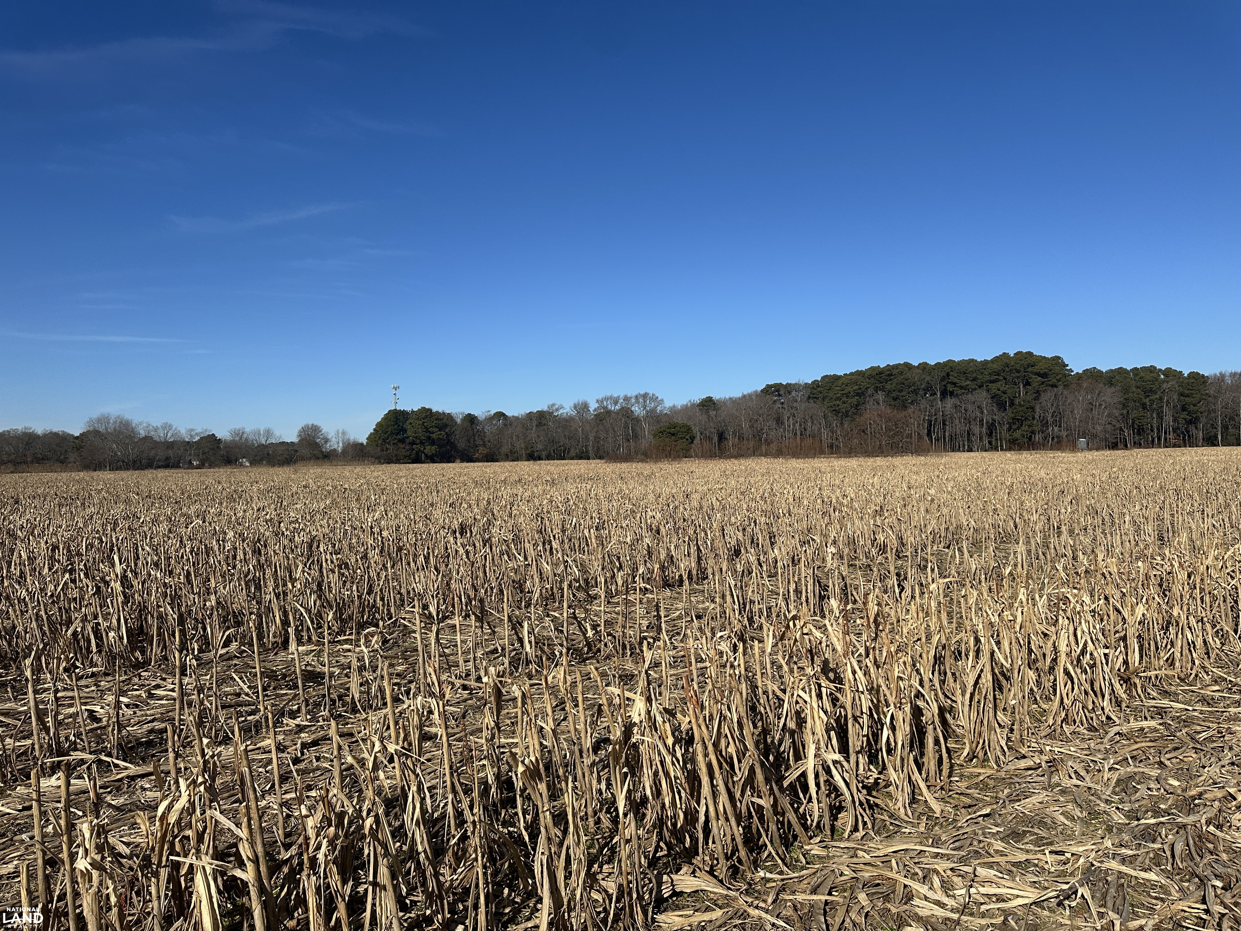 Bivalve Lodge Farmette in Wicomico County, Maryland (44 Photos ...