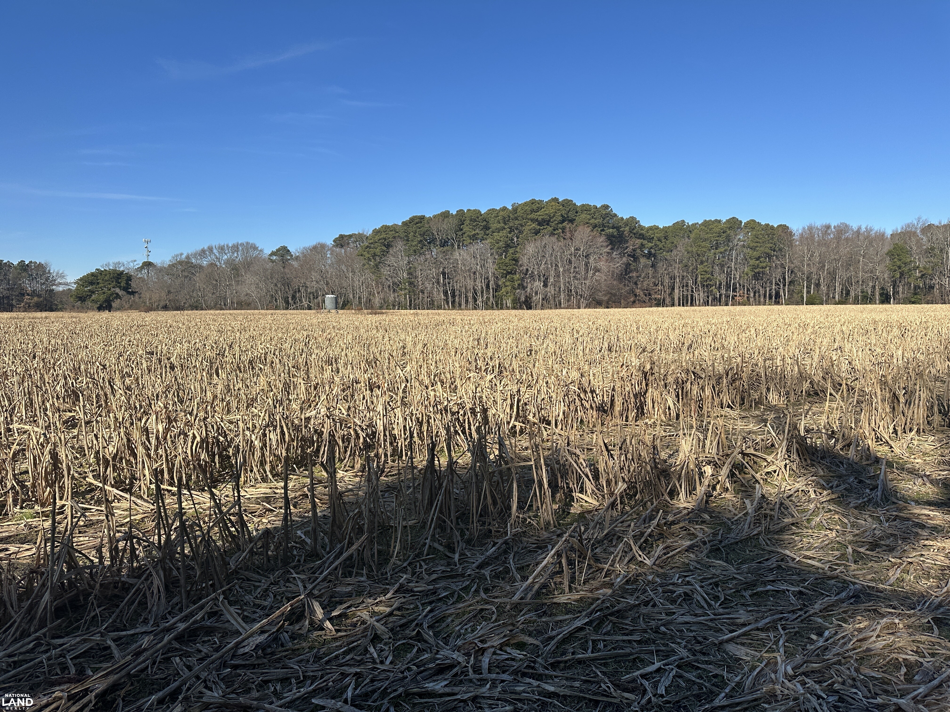 Bivalve Lodge Farmette in Wicomico County, Maryland (44 Photos ...